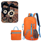 🌧️⛺Foldable Waterproof Hiking Backpack – Lightweight Packable Daypack
