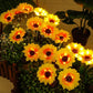 🌻SCONTO DEL 50%! ☀️ Luci solari a forma di girasole impermeabili - Petali realistici, IP65 resistenti alle intemperie e luminosità automatica 8-12 ore ☀️🌻