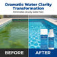 💧🌊 Brillantante a pH neutro – addio acqua verde! ✨🚀 Facile da dosare, senza odore di cloro. Per un'esperienza di bagno naturalmente pura e meno fatica nella pulizia.