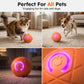 🐾 Palla intelligente che rimbalza da sola – divertimento senza fine per il tuo pet! 🎾🔋✨