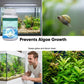 Effervescent Tablets for Crystal Clear Fish Tanks